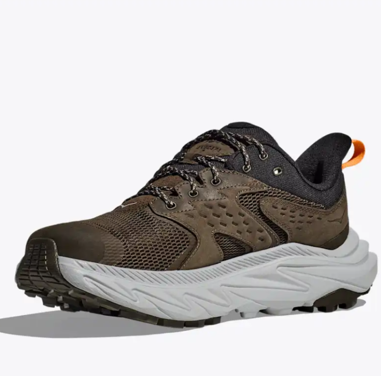 Anacapa 2 LOW GTX Men DDS Deep Umber Stardust